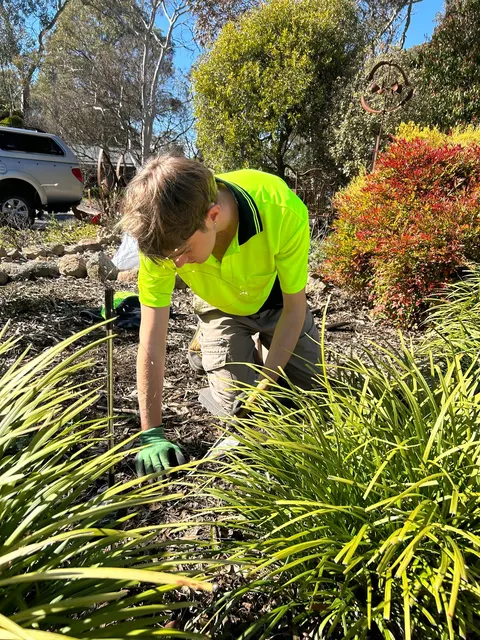 Anthony from the crew caring for a garden bed
